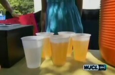 Cops shut down 'illegal' lemonade stand