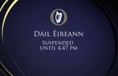 The Dáil was suspended for 45 minutes after Alan Kelly went to a press conference
