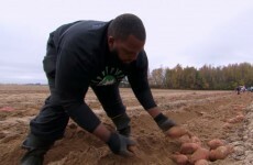 This NFL player gave up $12.5 million to become a farmer