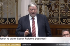 Fine Gael TD says Dublin protesters 'act like parasites and live off country people'
