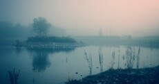 IN PICTURES: Ireland looks good covered in a blanket of fog