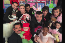 One Direction took the #CutestSelfieEver on Jimmy Kimmel, and damn near broke the internet