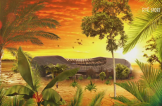 RTÉ sent Tom McGuirk out to the Bush and he came back with this brilliant Ireland v Australia promo
