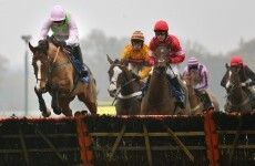 Faugheen: Willie Mullins' machine backs up the Champion Hurdle hype