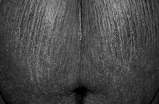 40 'coco bottom' giant nuts stolen from paradise island