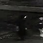 VIDEO: Men in Scream masks wanted over 'horrible' sexual assault