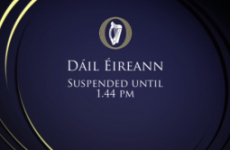 Dáil suspended three times IN ONE HOUR as Burton and SF clash on abuse claims