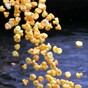 How to... Stage a duck race