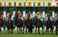 And they're off: Irish scientists develop genetic test to find tomorrow's top racehorses