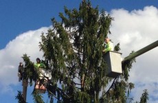 Council officials teach town a lesson after complaints over crap Christmas tree