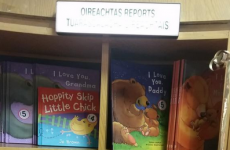 "I Love You Daddy" - These children's books are NOT Oireachtas reports