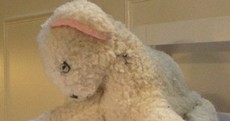 From old to new: My childhood teddy Lamby pays a visit to the Doll and Teddy Bear Hospital