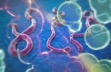 Sperm can carry Ebola for at least 82 days --- WHO
