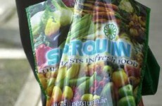 Receivers appointed to Superquinn chain