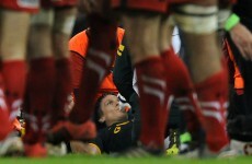 Jean de Villiers suffers 'significant ligament damage' after horror injury against Wales