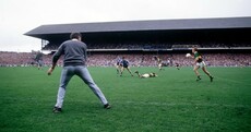 In pictures: Micko's life on the bench...