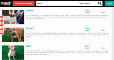 These websites are making it easier for people to adopt their perfect pet