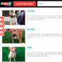 These websites are making it easier for people to adopt their perfect pet