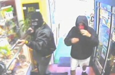 Watch: Paco the chihuahua puts paid to armed robbery
