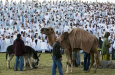 Photos: The world's biggest nativity scene happened this week