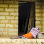 There ARE simple treatments for Ebola that could have saved lives