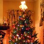 Poll: Have you put up your Christmas tree?