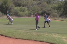You'll never guess which animal took a fancy to Luke Donald during his round in South Africa
