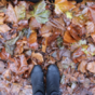 Dublin Sounds: An autumnal walk in Dartmouth Square