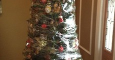 Real Christmas tree v fake Christmas tree - we decide