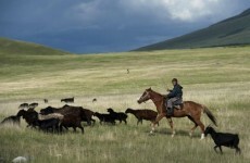 Powerful earthquake hits south Kyrgyzstan