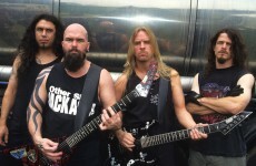 Thrash metallers Slayer rescue tiny, freezing kitten