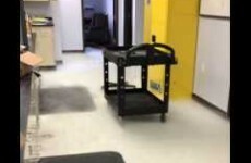 Here's what happens when you throw liquid nitrogen on the floor