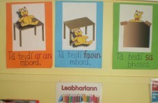 language shouldn\u0027t entry a be Irish rule third-level ... for