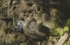 The internet is mad that this man didn't get eaten alive by a snake on TV