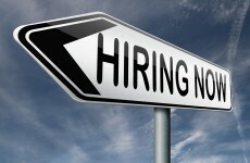 Unemployment is dropping - but where exactly are all the jobs?