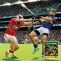 Straw, tea, broken hurleys and selfies - GAA snapshots from the Season of Sundays 2014