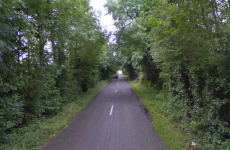 Gardaí confident of catching man behind attempted abduction in Offaly