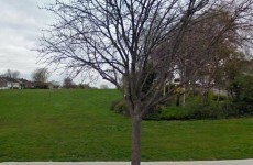 Man due in court over serious sexual assault on teen in park