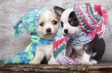 It's cold... but is the weather going to get any worse?