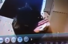 VIDEO: Gardaí want to find two women who mugged 94-year-old grandmother