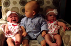 Toddler meets identical twins for the first time and he is adorably confused