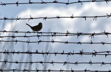 Why Norway's prison system is so successful