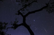 The "best shooting star shower of the year" is happening tonight