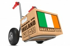 Irish businesses could cut the state's €8.5 billion spending bill