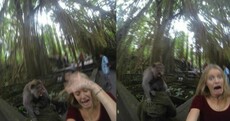 Woman tries to take a selfie with a monkey, fails spectacularly