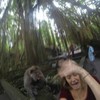 Woman tries to take a selfie with a monkey, fails spectacularly