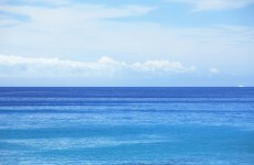 Teenager killed in Australia shark attack