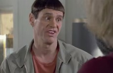 VIDEO: Your weekend movies... Dumb and Dumber To
