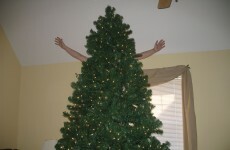 The Burning Question*: Angel or star on the top of tree?