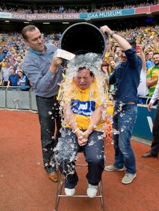 Donaghy roaring and Kilkenny heading to Tommy's house - the 2014 viral GAA moments